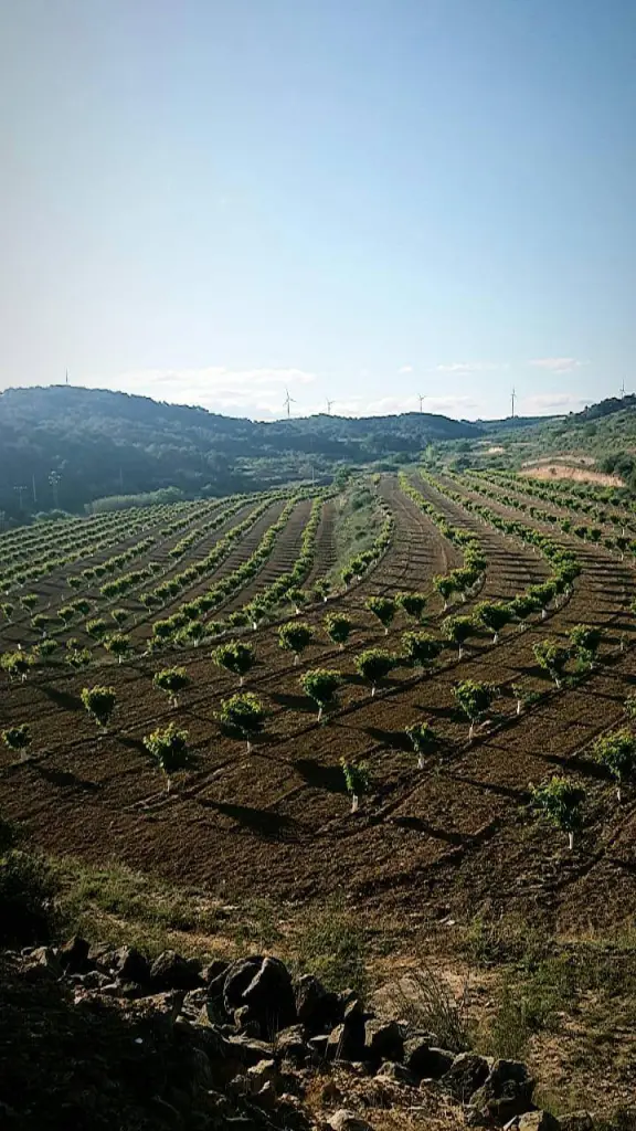 entorn Entorn vilalba