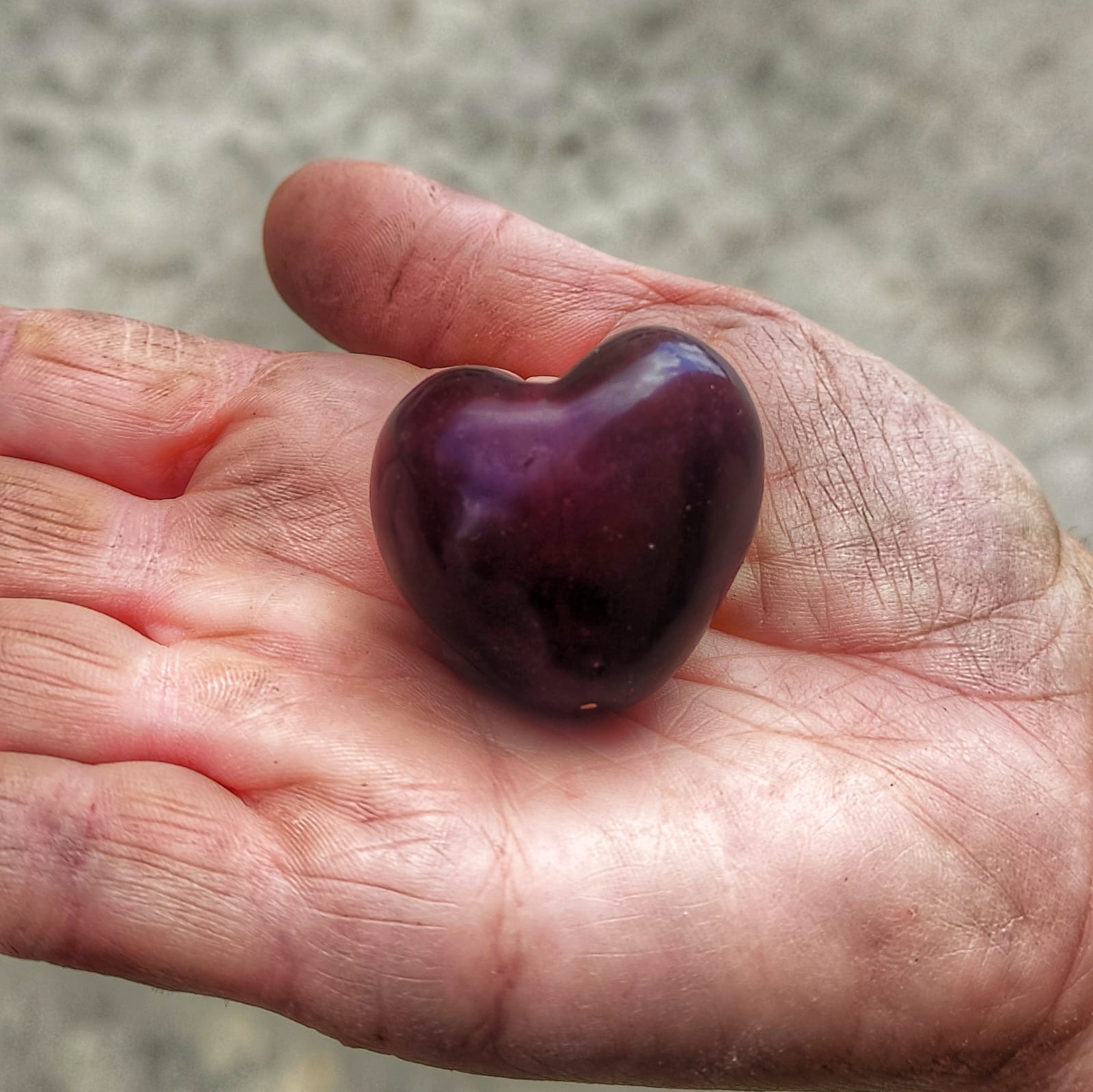 Cirera grossa Cirera