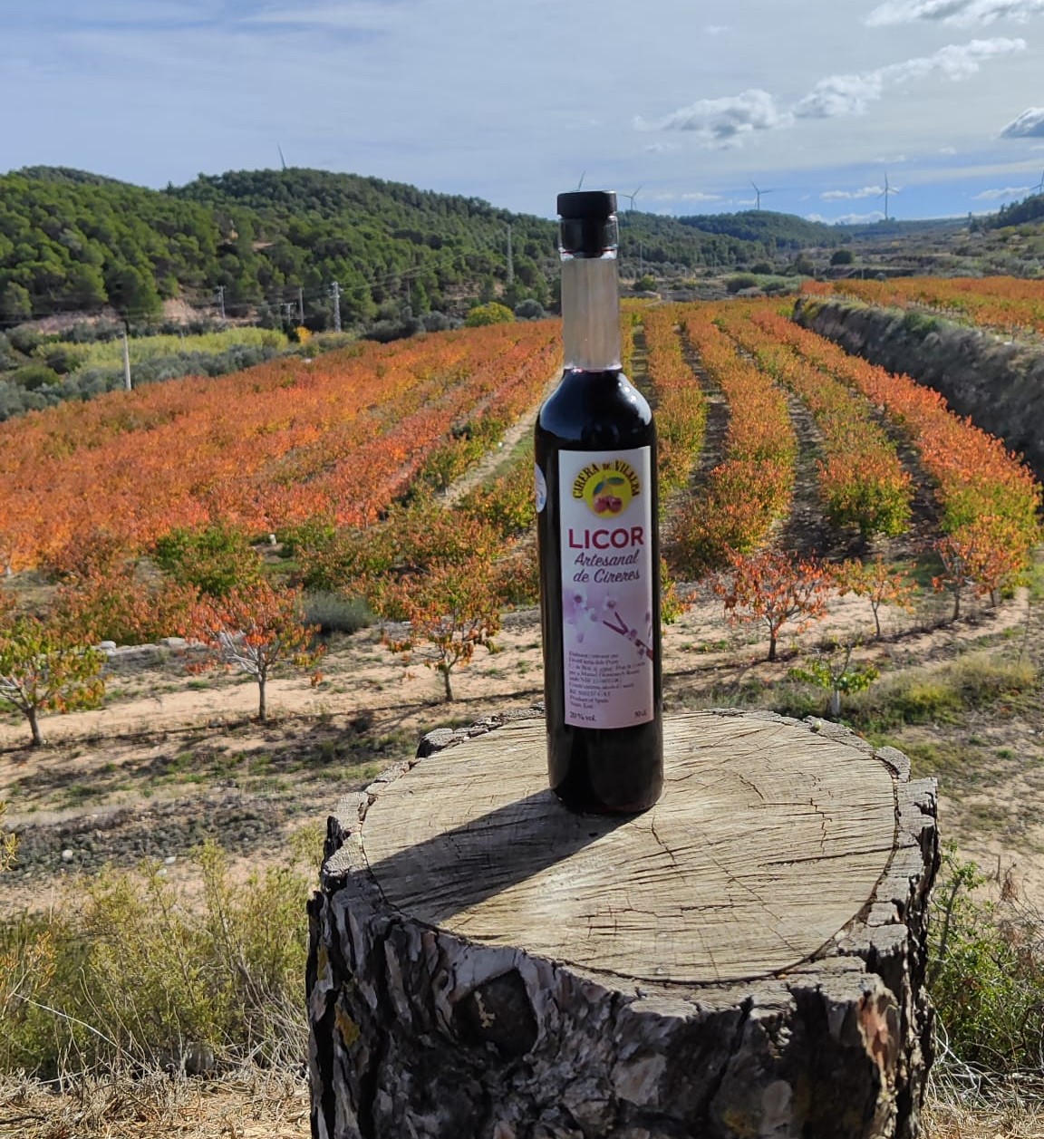 licor cirera licor cirera 1